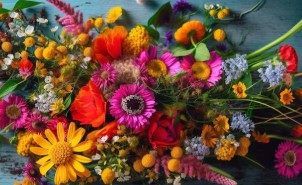 Kde kupovať kvety - Recenzie obchodov