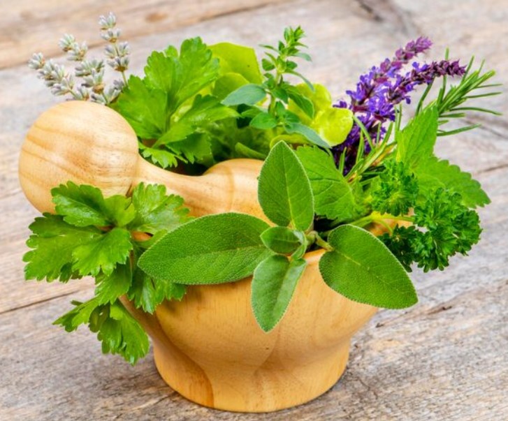 Kde nakupovať bylinky? - Recenzie obchodov